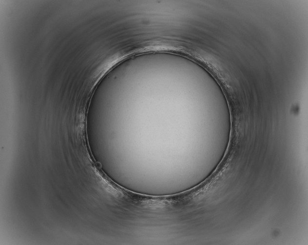 X0000100191185200806061251