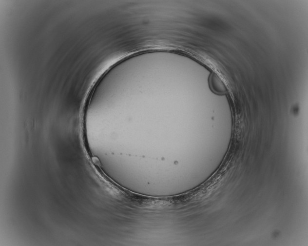 X0000100191187200806061251