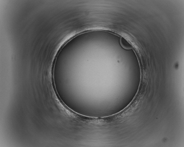 X0000100191189200806061251