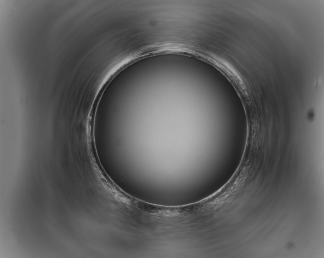 X0000100191190200806061251