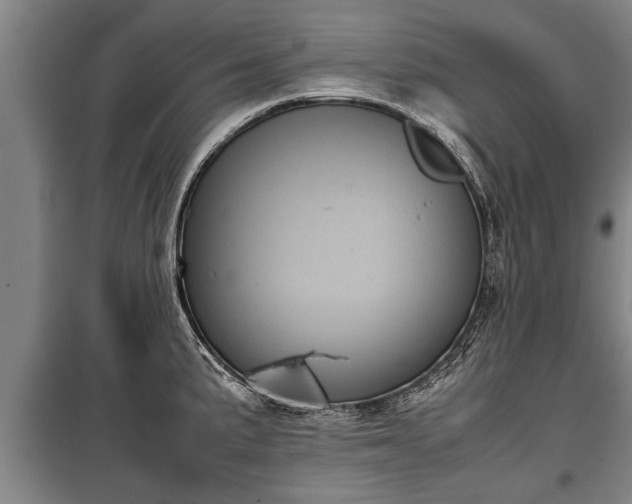 X0000100191191200806061251