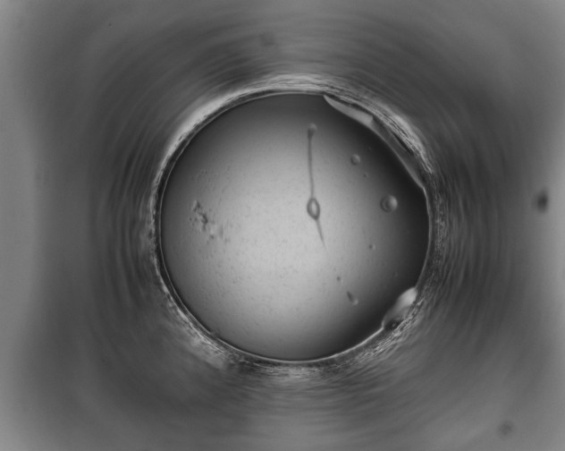 X0000100191192200806061251