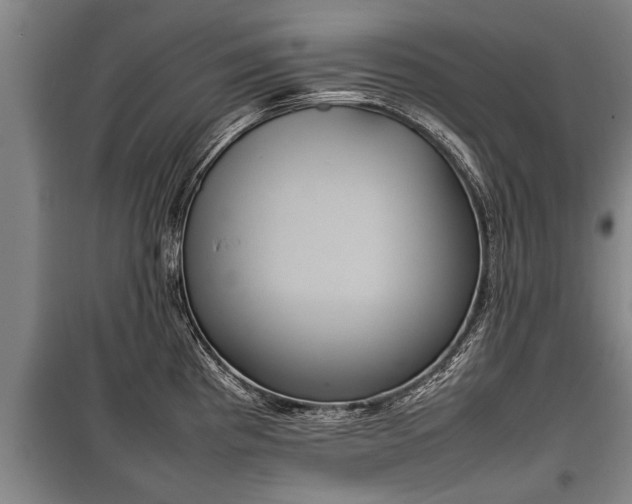 X0000100191193200806061251