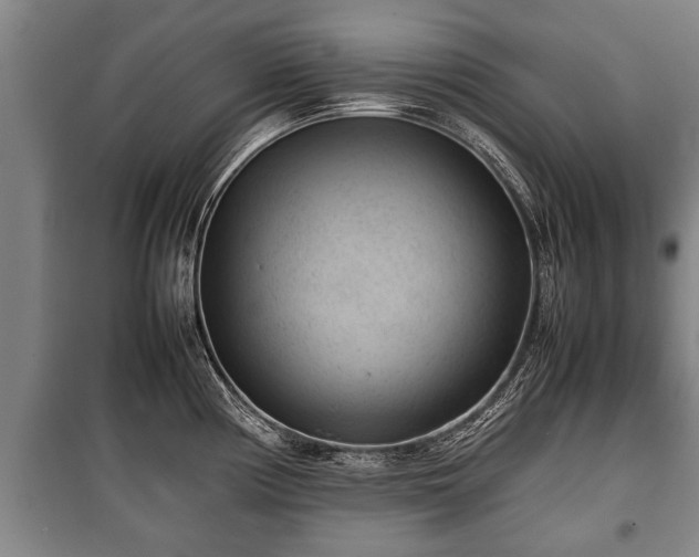 X0000100191194200806061251