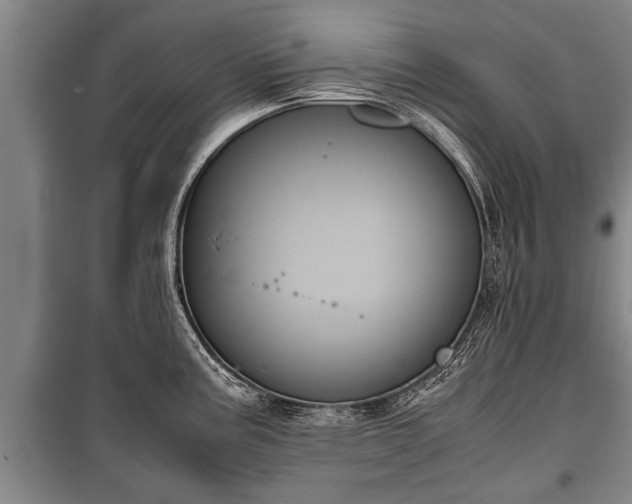 X0000100191195200806061251