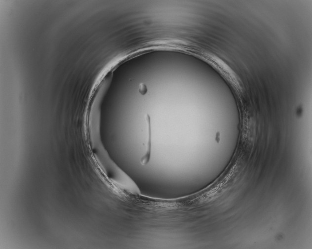 X0000100191196200806061251