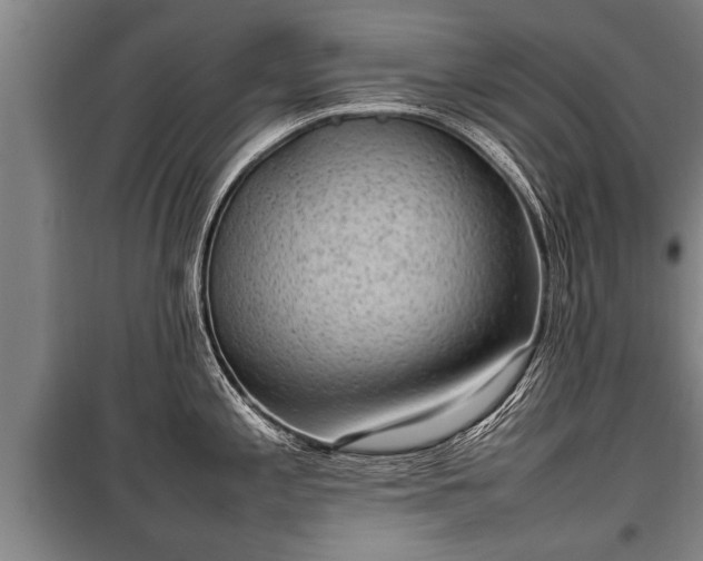 X0000100191197200806061251