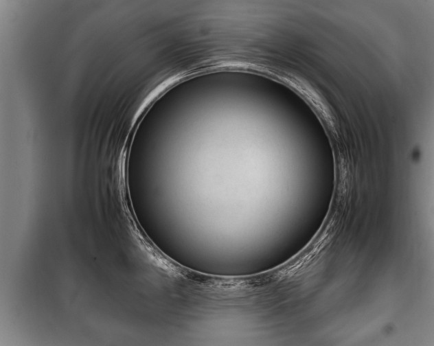 X0000100191198200806061251