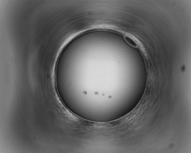 X0000100191199200806061251