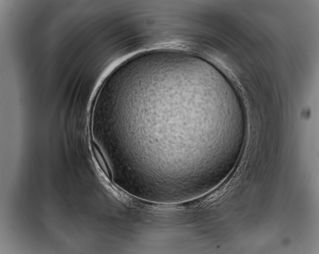 X0000100191200200806061251