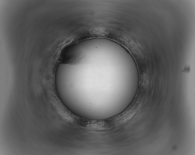 X0000100191201200806061250