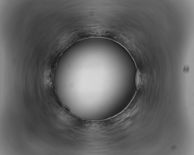 X0000100191202200806061250