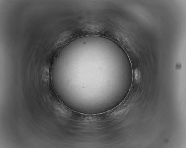 X0000100191203200806061250