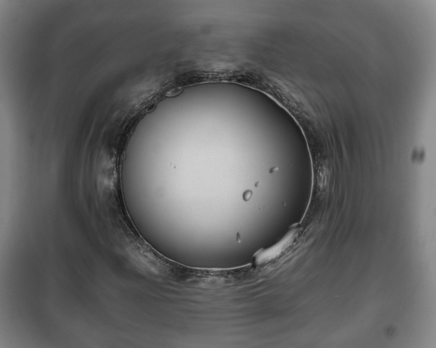 X0000100191204200806061250