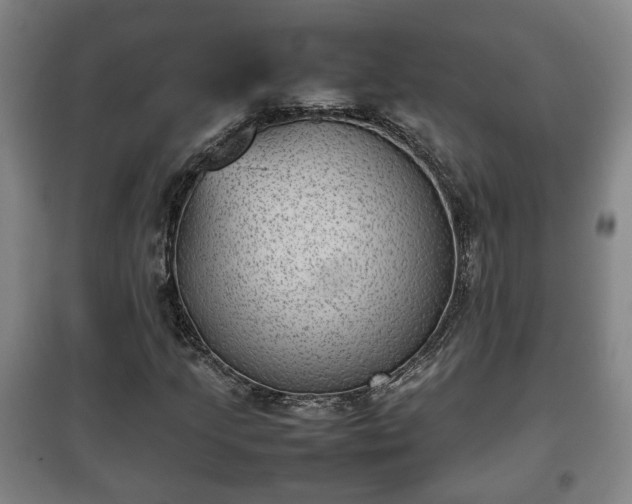 X0000100191205200806061250