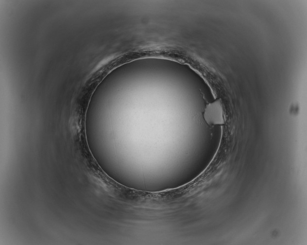 X0000100191206200806061250