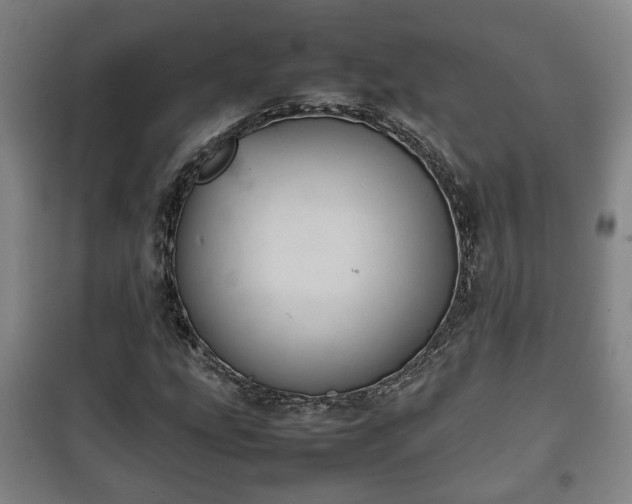 X0000100191207200806061250