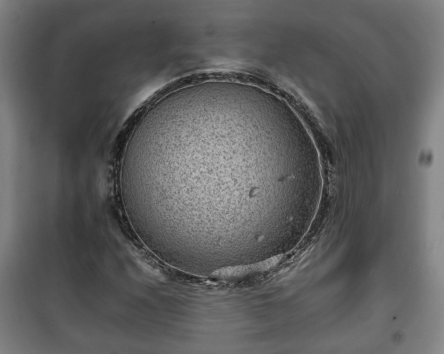 X0000100191208200806061250