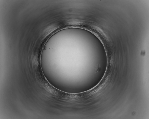 X0000100191209200806061250