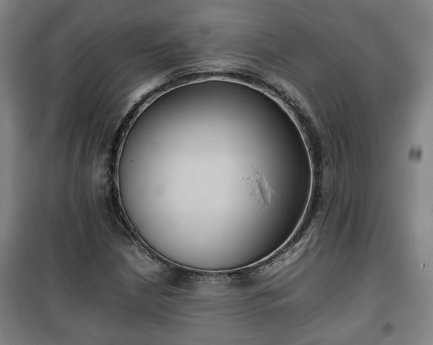 X0000100191210200806061250