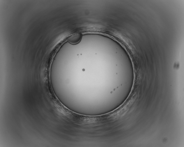 X0000100191211200806061250