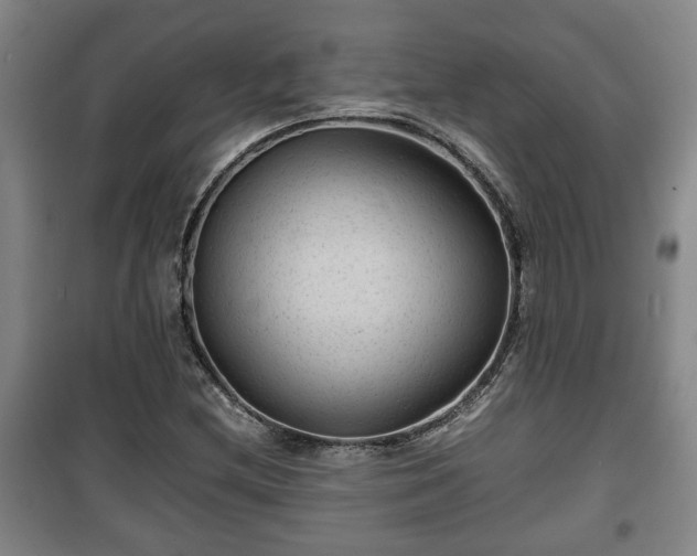 X0000100191212200806061250