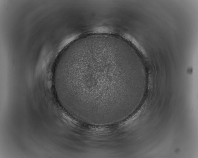 X0000100191213200806061250