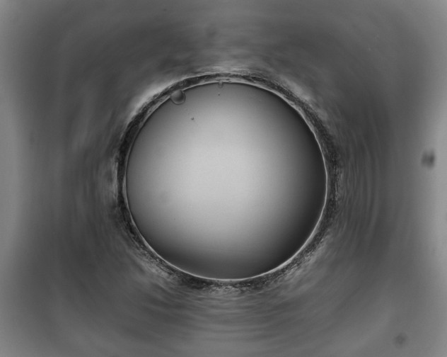 X0000100191214200806061250