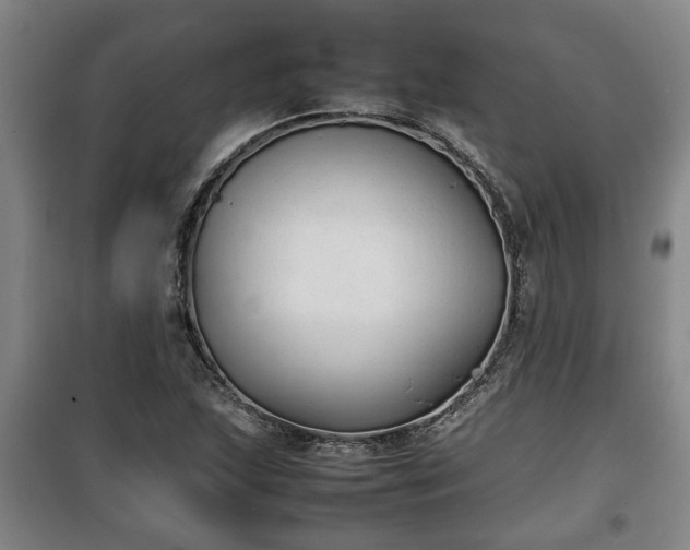 X0000100191215200806061250