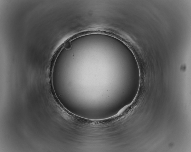 X0000100191216200806061250