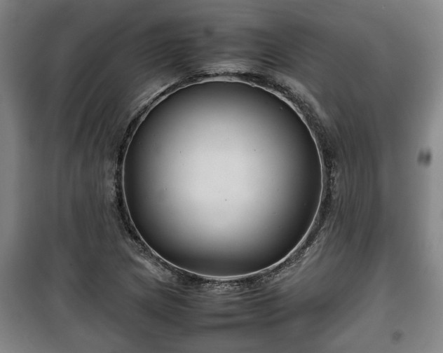 X0000100191217200806061250