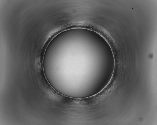 X0000100191218200806061250