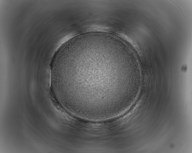 X0000100191219200806061250