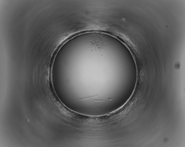 X0000100191220200806061250