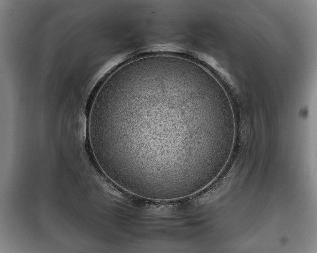 X0000100191221200806061250