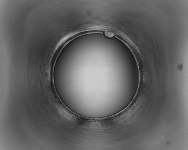 X0000100191222200806061250