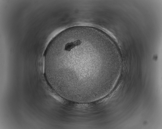 X0000100191223200806061250