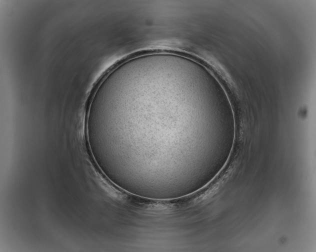 X0000100191224200806061250