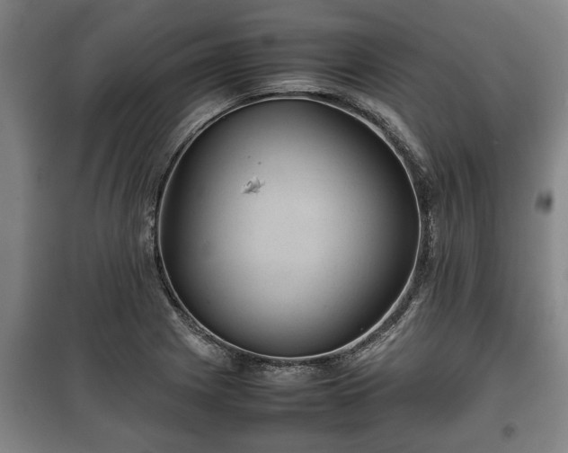 X0000100191225200806061251