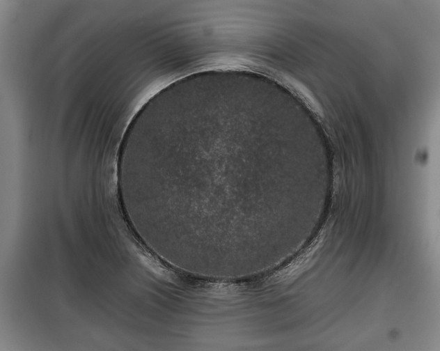 X0000100191226200806061251