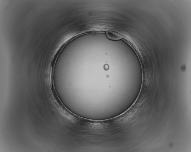 X0000100191227200806061251