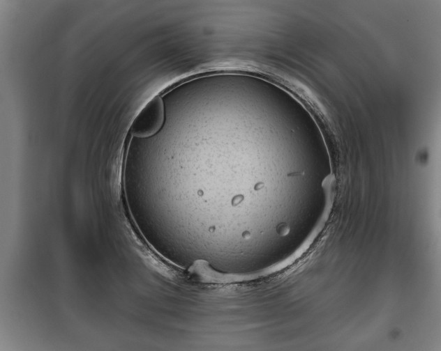 X0000100191228200806061251