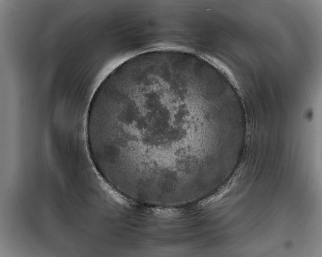 X0000100191231200806061251