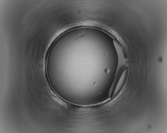 X0000100191232200806061251