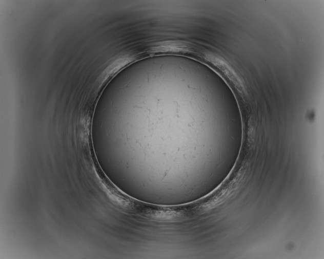 X0000100191233200806061251