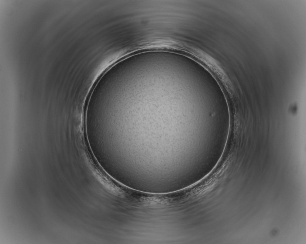 X0000100191234200806061251