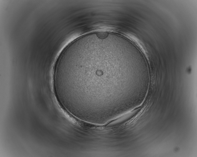 X0000100191235200806061251