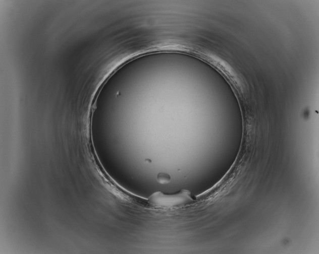 X0000100191236200806061251