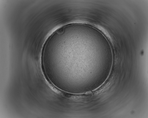 X0000100191237200806061251