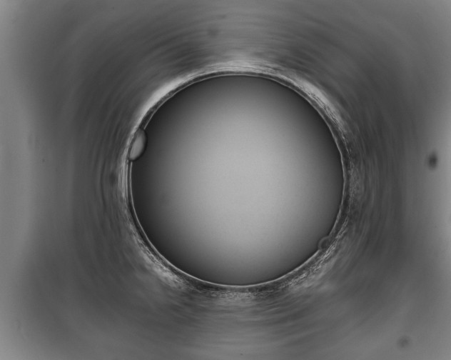 X0000100191238200806061251